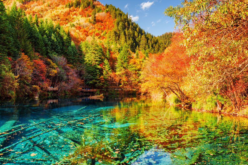 Jiuzhaigou National Park Official GANP Park Page